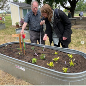 on a sunny day on EBC campus, two people stand next to a metal tub that holds seedlings, it is the beginning of a garden